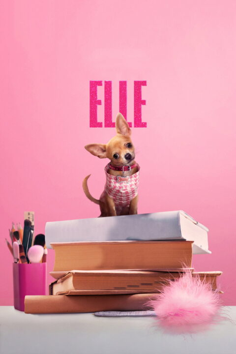 Elle – sezon 1 – 5